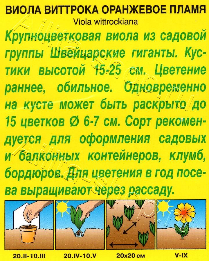 Виола Оранжевое пламя 0,05г