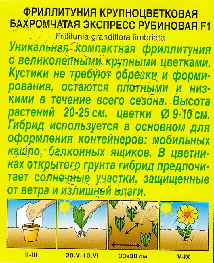 Фриллитуния Экспресс F1 рубиновая крупноцветковая бахромчатая 7шт