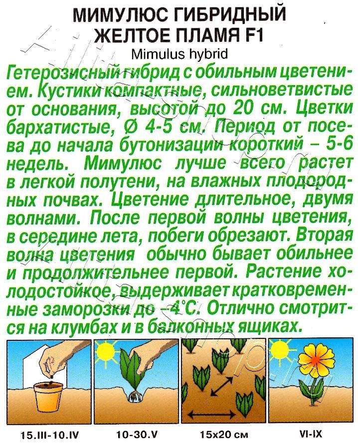 Мимулюс Желтое пламя F1 10шт