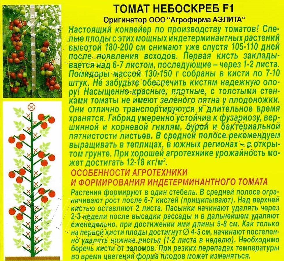Томат Небоскреб F1 10шт