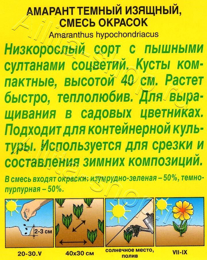 Амарант Изящный, смесь окрасок 0,3г