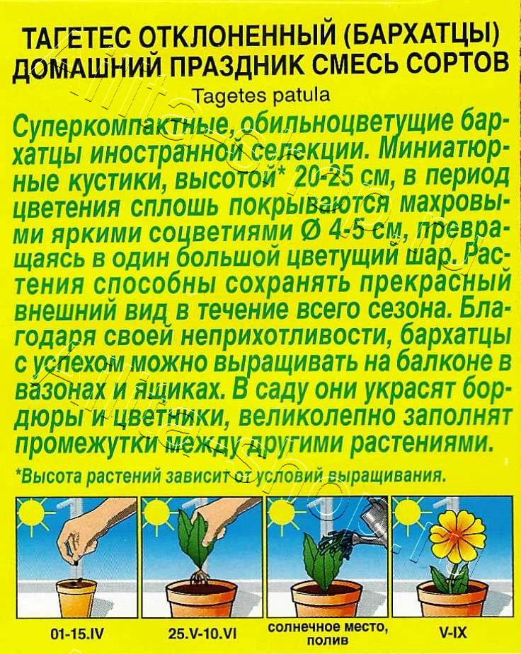 Бархатцы Домашний праздник, смесь сортов 7шт