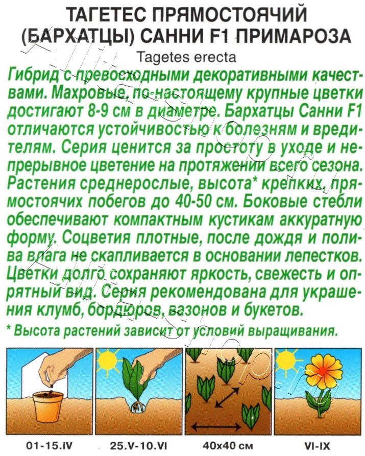 Бархатцы Санни F1 примароза прямостоячие 10шт
