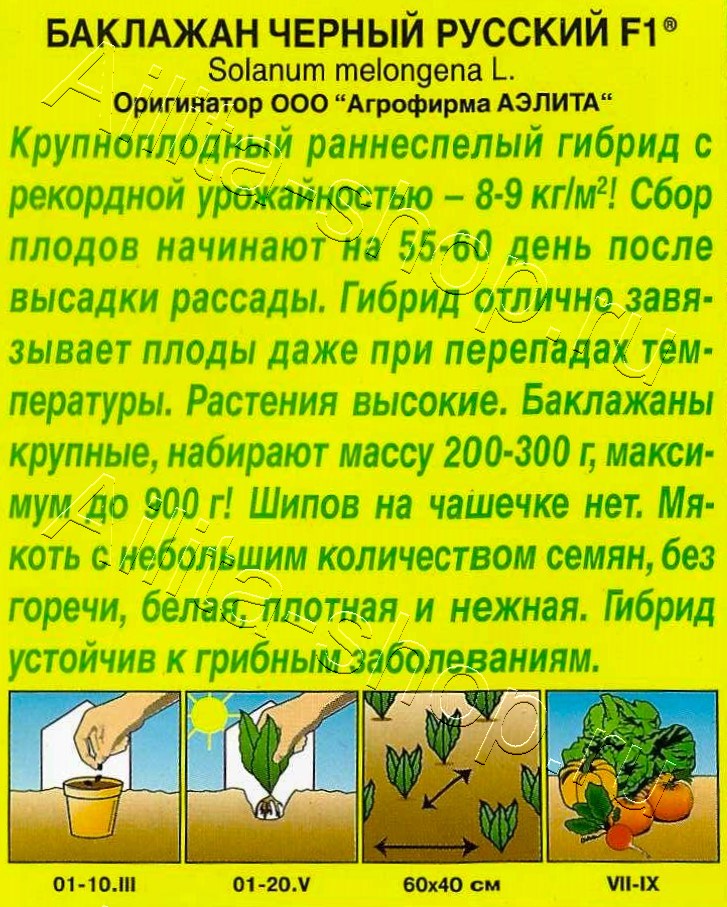 Баклажан Черный русский F1 0,1г