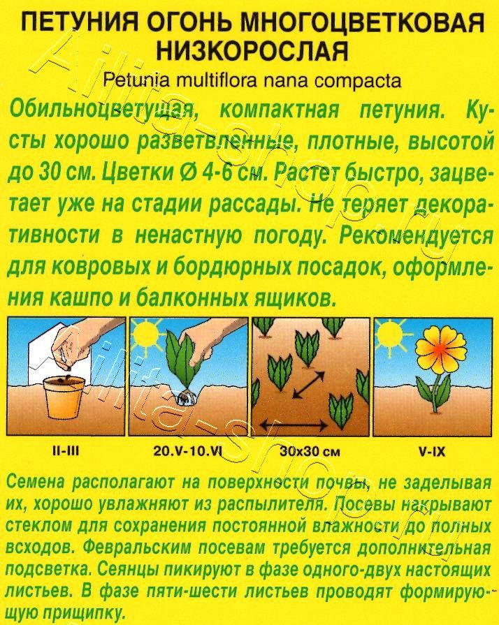 Петуния Огонь многоцветковая 0,1г