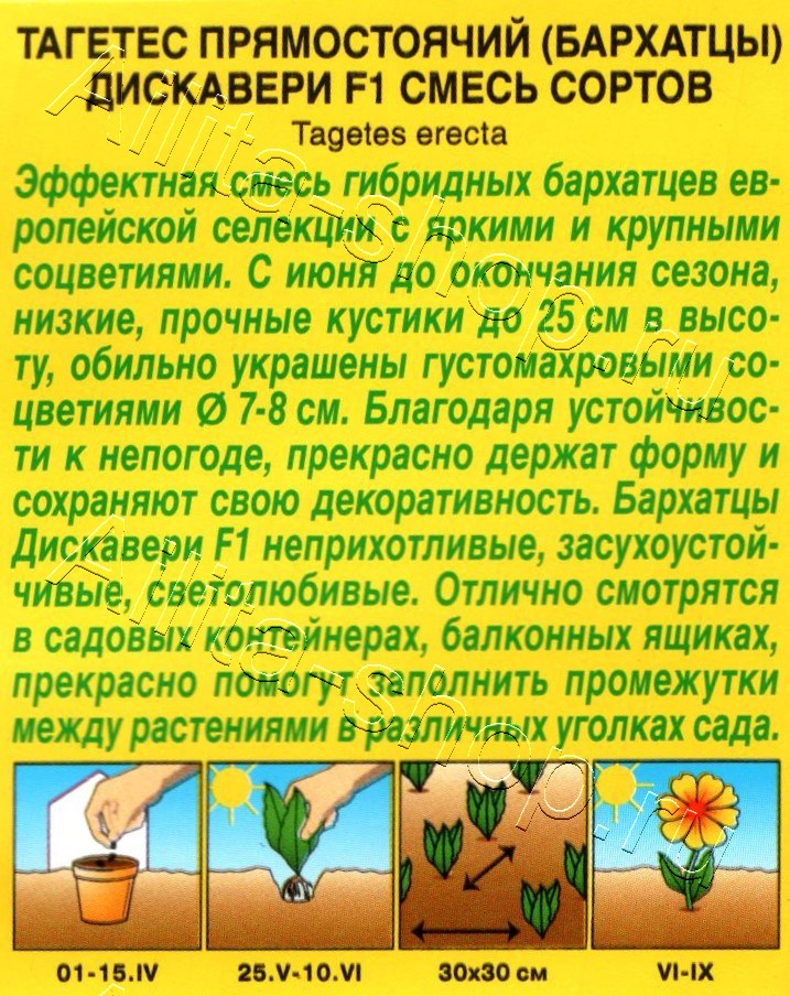 Бархатцы Дискавери F1, смесь окрасок 7шт