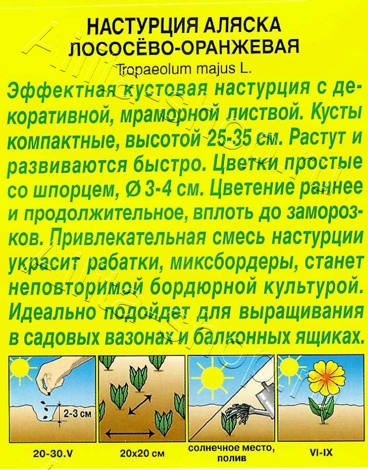 Настурция Аляска лососево-оранжевая 5шт