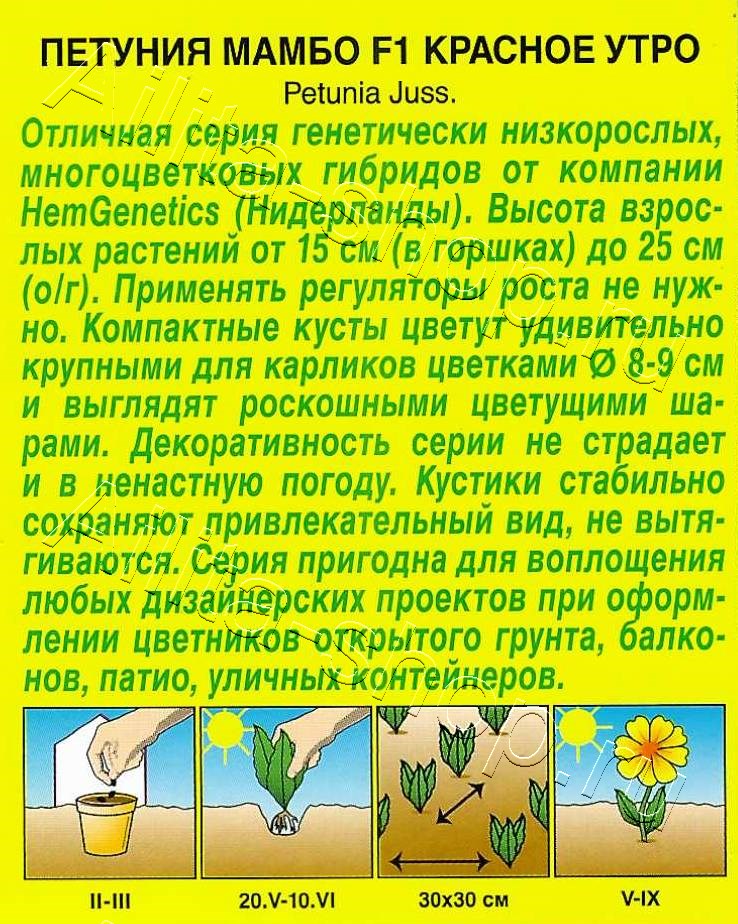 Петуния Мамбо F1 красное утро многоцветковая 7шт