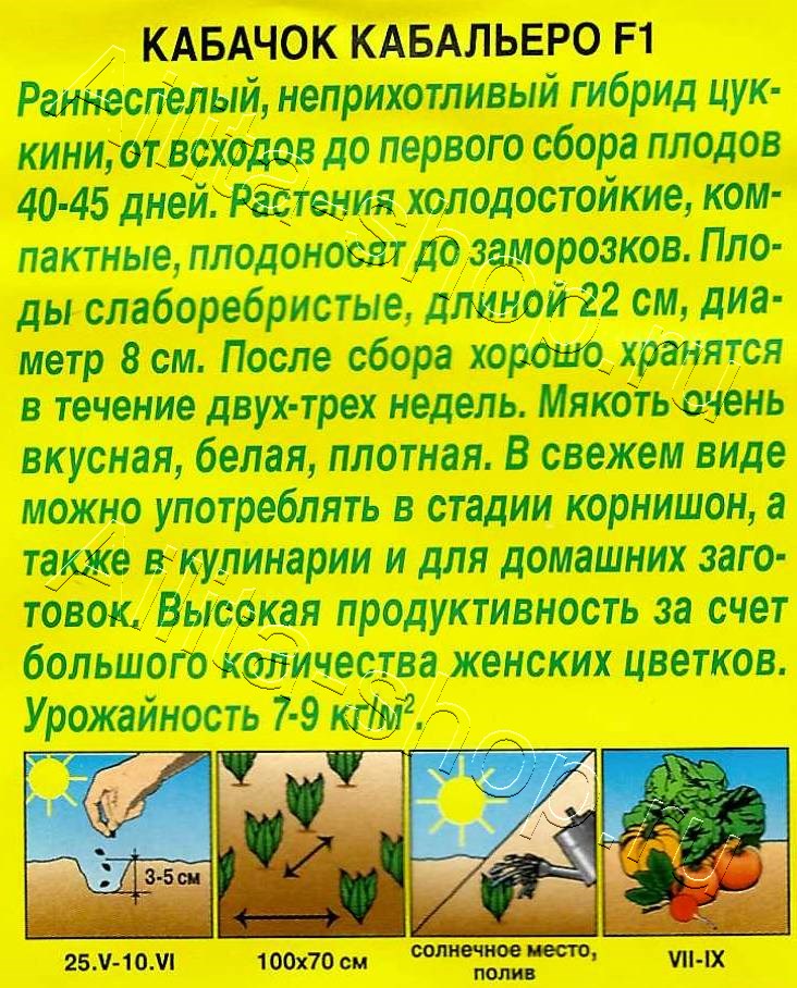 Кабачок цуккини Кабальеро F1 5шт