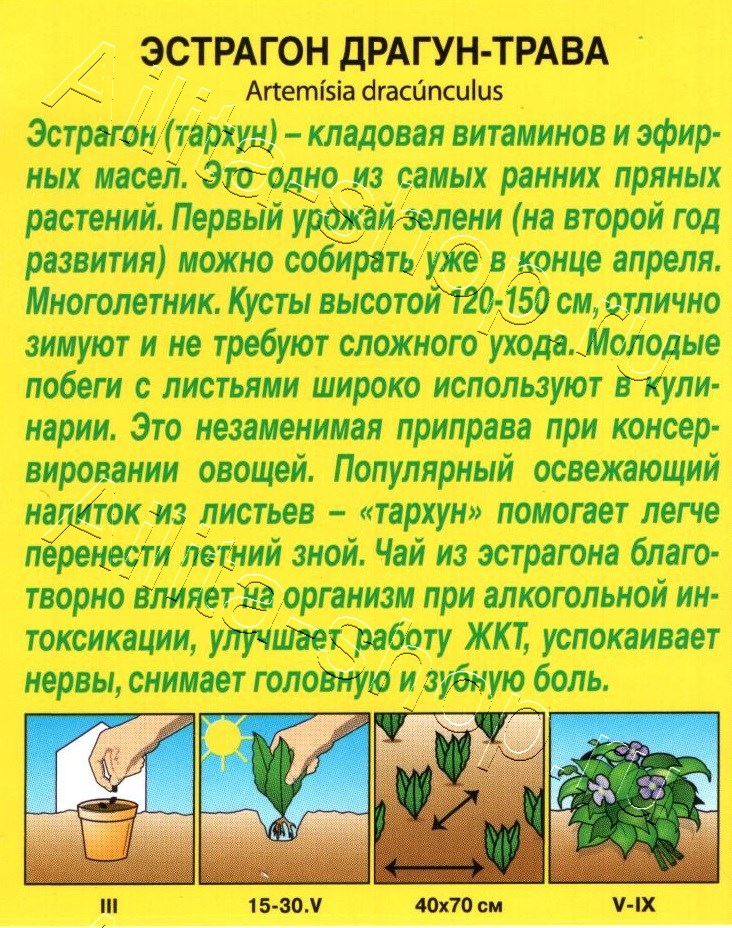 Эстрагон Драгун-трава 0,05г