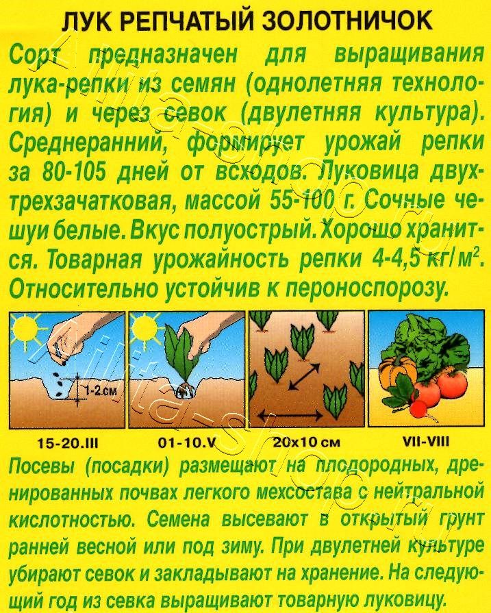 Лук репчатый Золотничок 1г