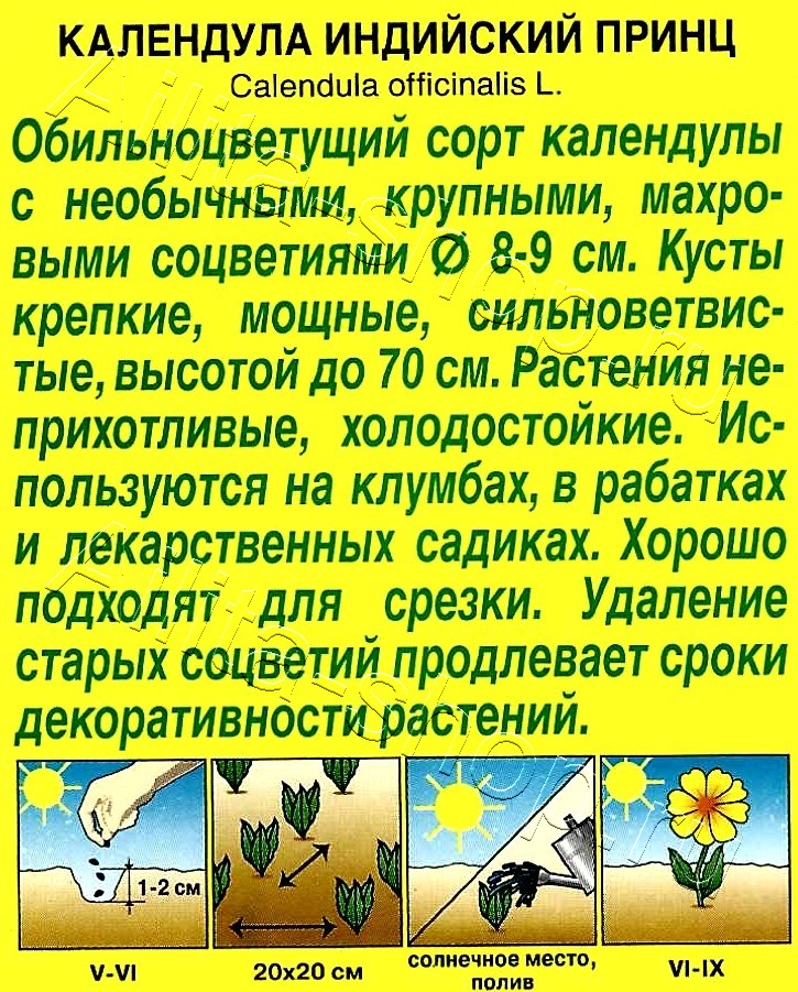 Календула Индийский принц махровая 0,5г