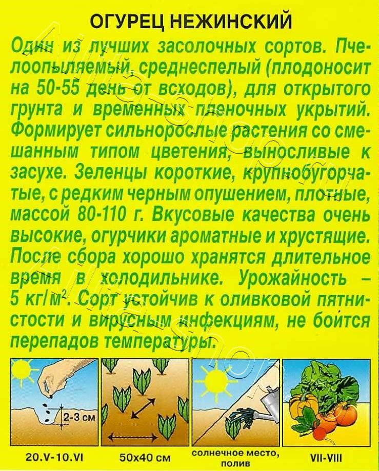 Огурец Нежинский 20шт