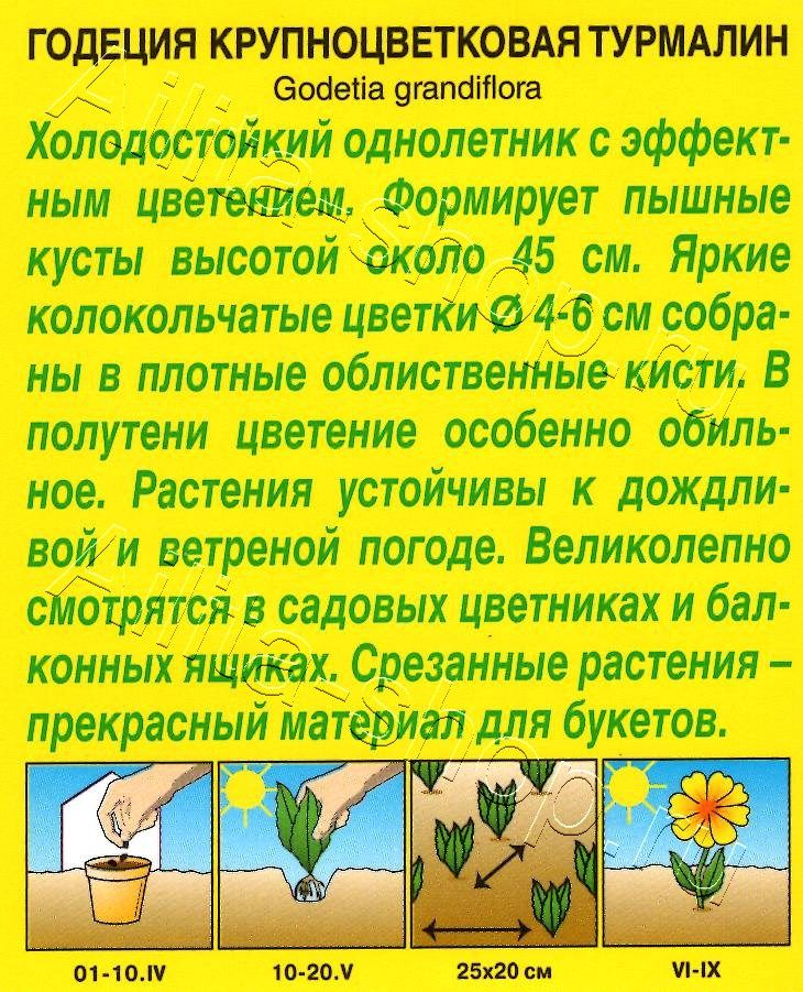 Годеция Турмалин 0,1г