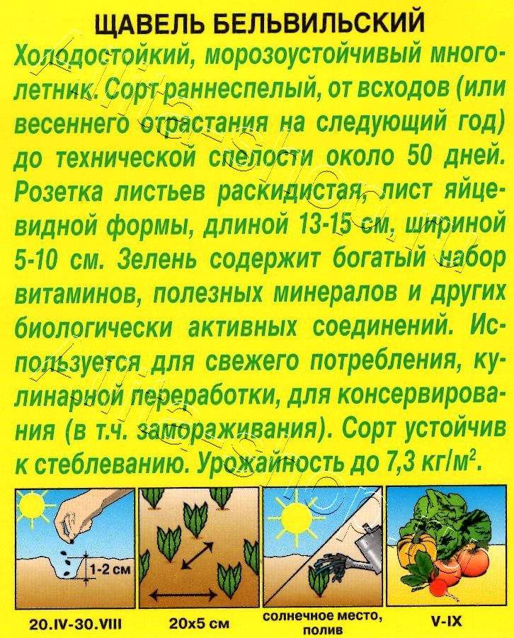 Щавель Бельвильский 0,5г