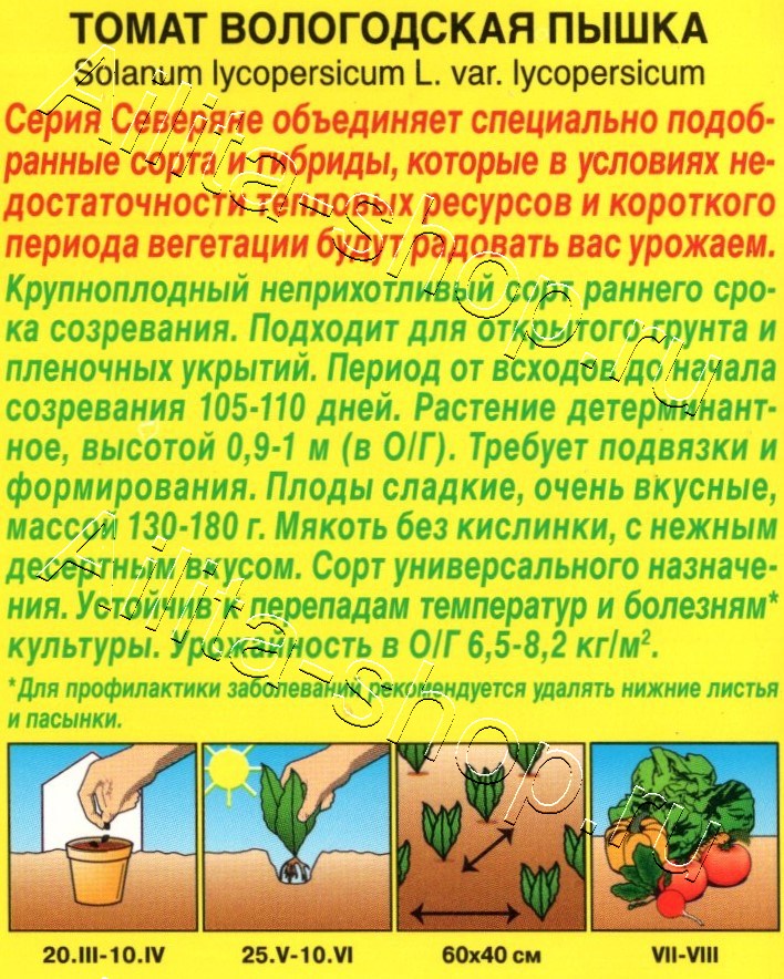 Томат Вологодская пышка 20шт