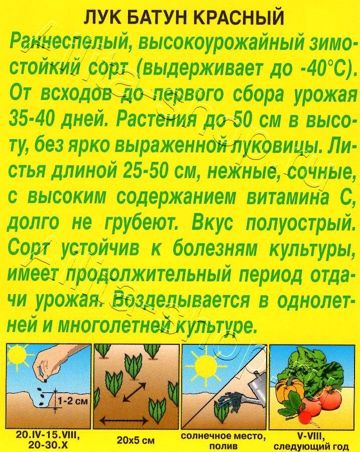 Лук батун Красный 0,3г