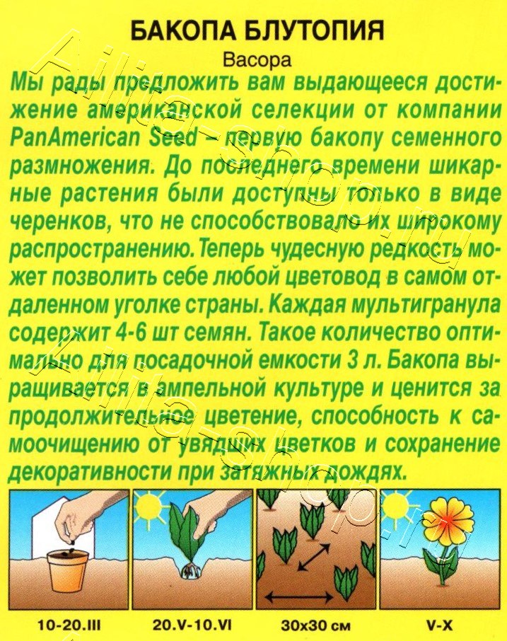 Бакопа Блутопия 3шт