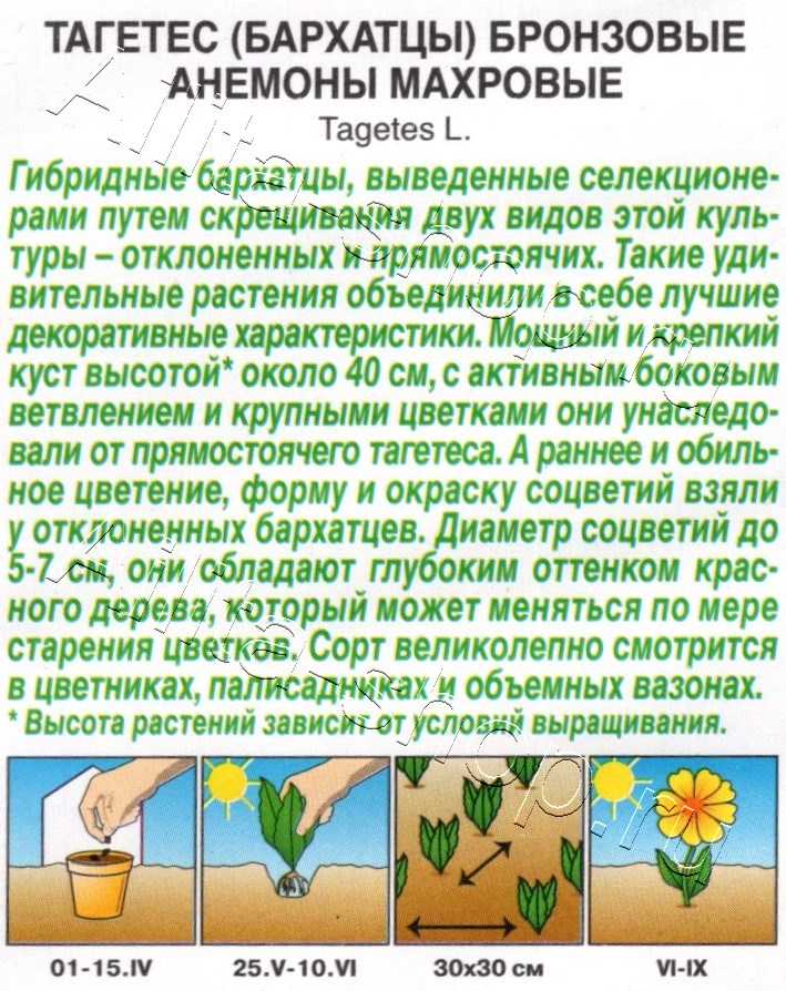 Бархатцы Бронзовые анемоны махровые 0,1г