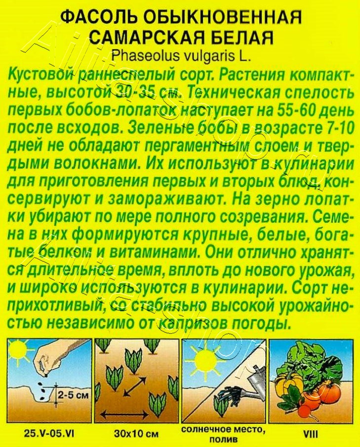 Фасоль обыкновенная Самарская белая 5г