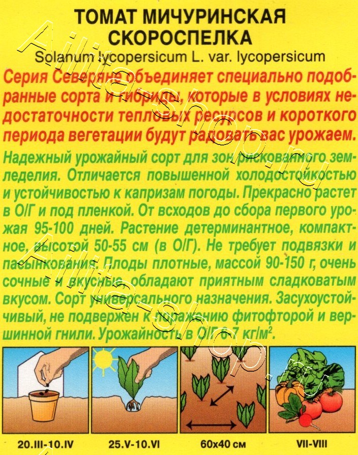 Томат Мичуринская скороспелка 20шт