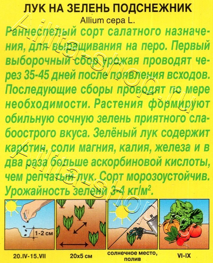 Лук на зелень Подснежник 0,3г