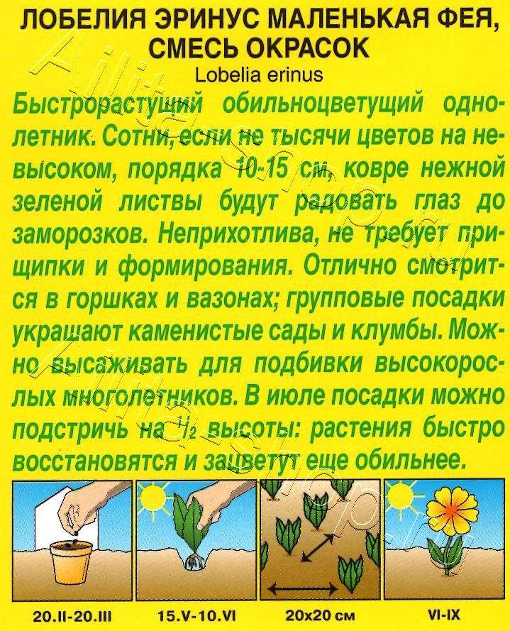 Лобелия Маленькая фея, смесь окрасок 0,05г