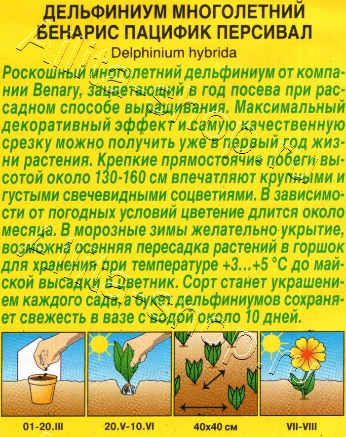 Дельфиниум Бенарис пацифик персивал 10шт