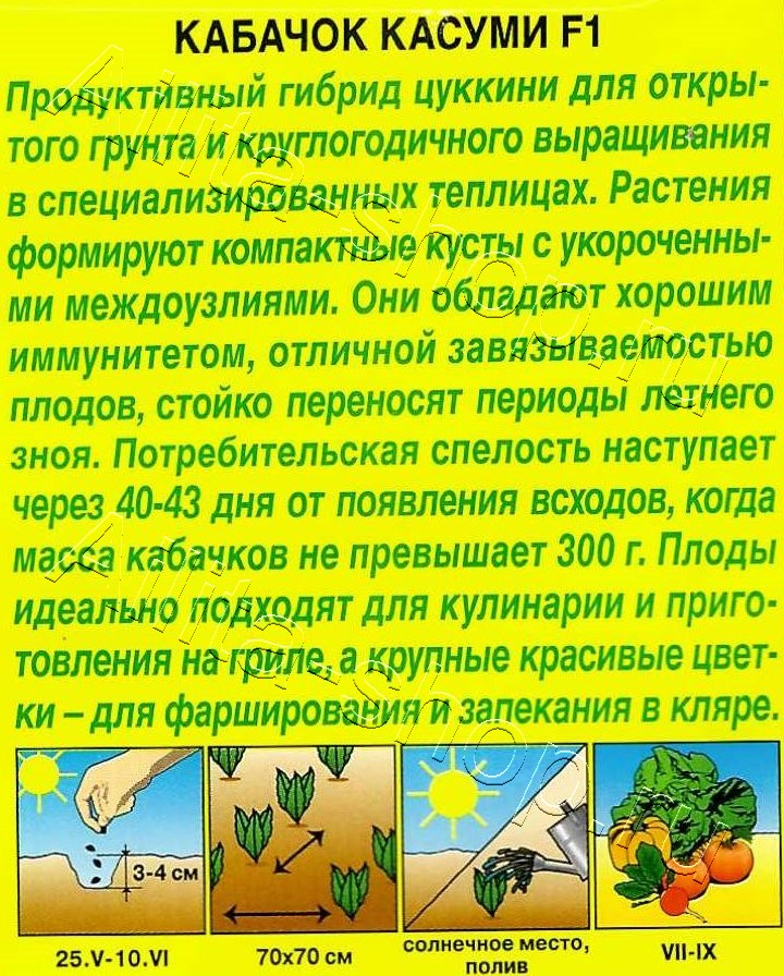 Кабачок цуккини Касуми F1 5шт