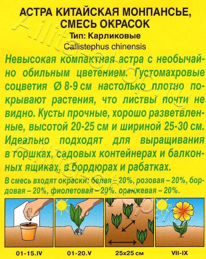 Астра Монпансье, смесь окрасок 0,2г