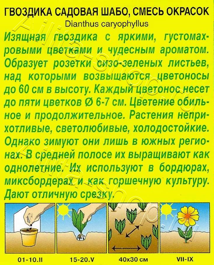Гвоздика садовая Шабо, смесь сортов 0,05г