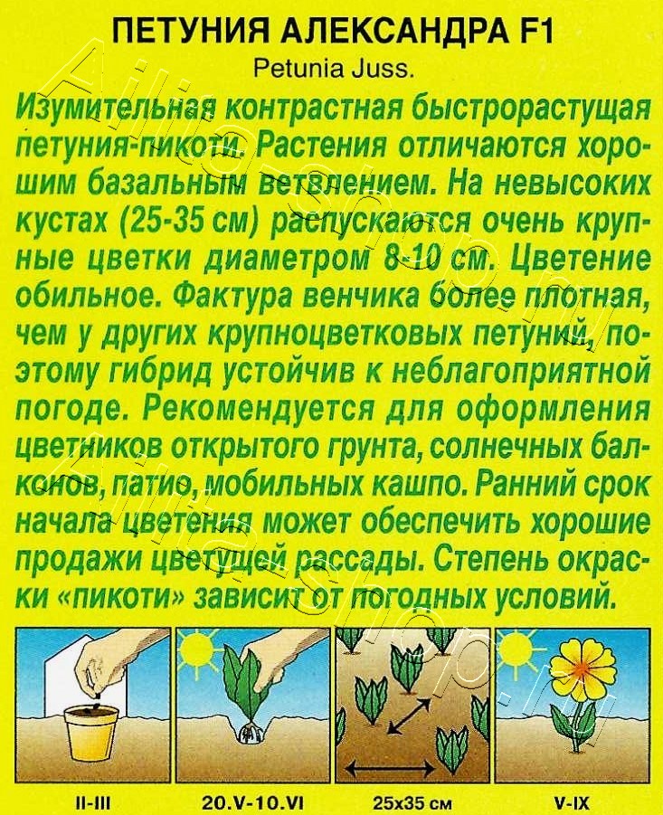 Петуния Александра F1 крупноцветковая 7шт