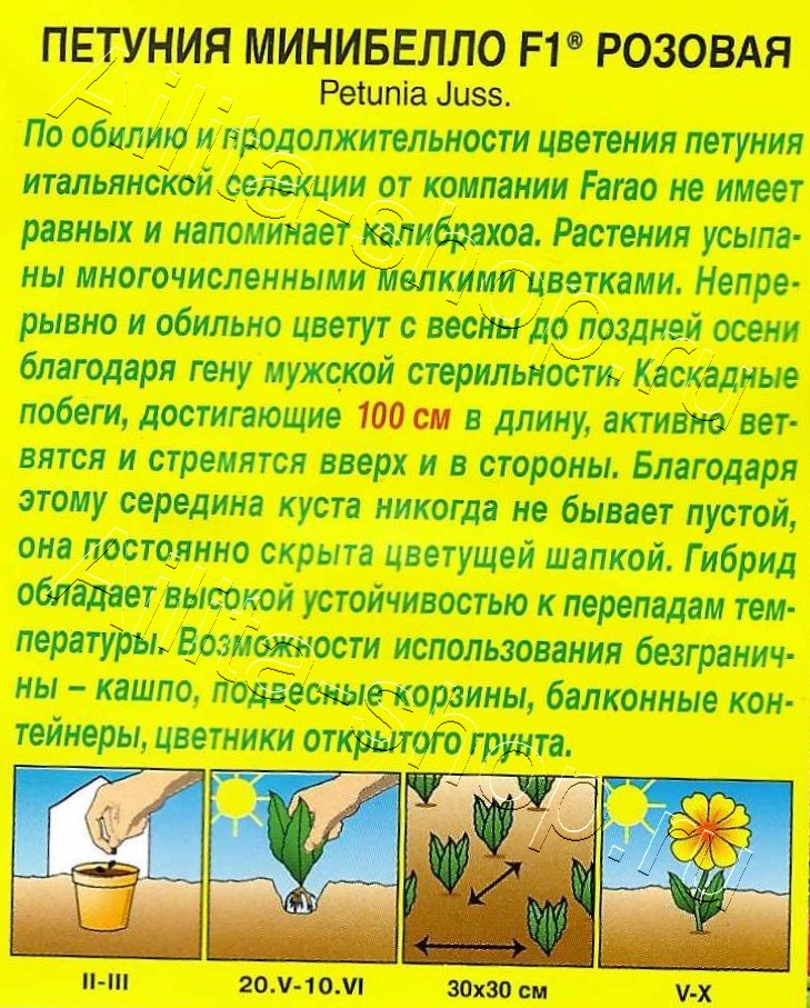 Петуния мини Минибелло F1 розовая многоцветковая 5шт