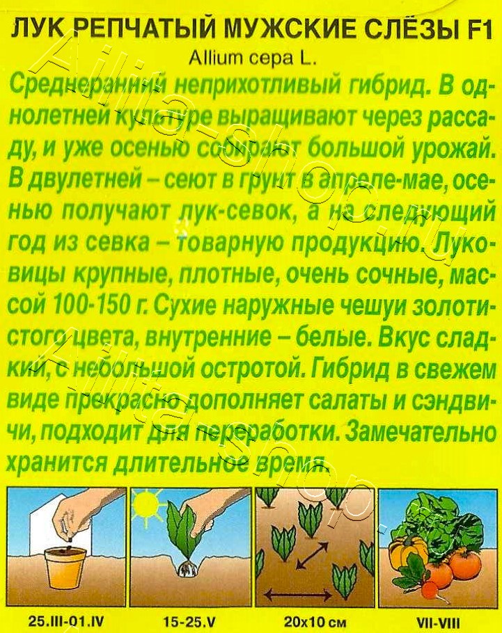 Лук репчатый Мужские слёзы F1 0,5г