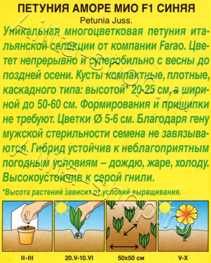 Петуния Аморе мио F1 синяя 5шт