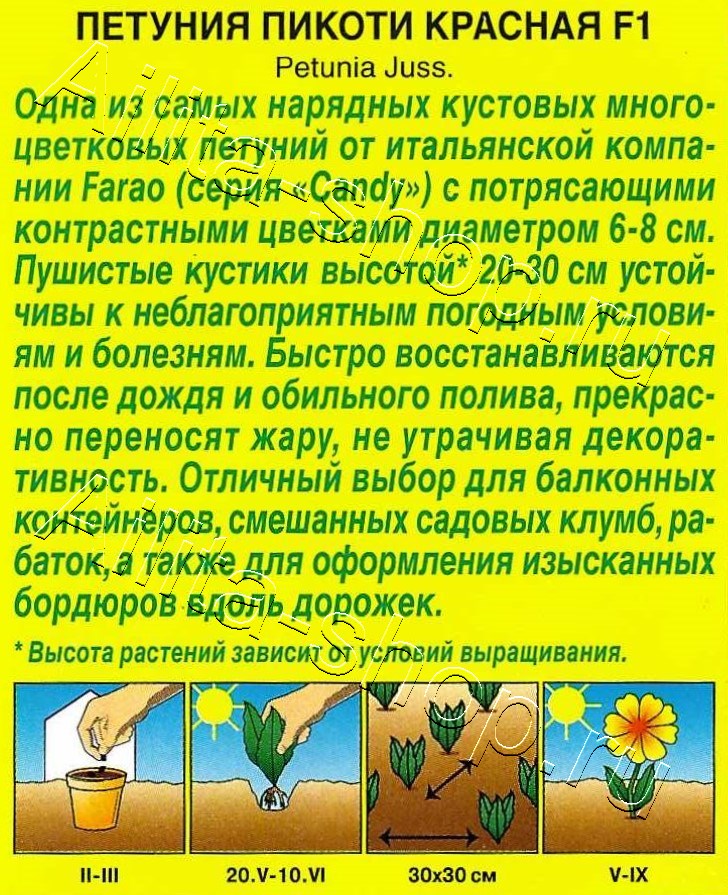 Петуния Пикоти красная F1 многоцветковая 7шт