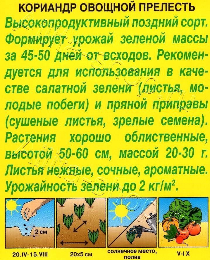 Кориандр овощной Прелесть 3г