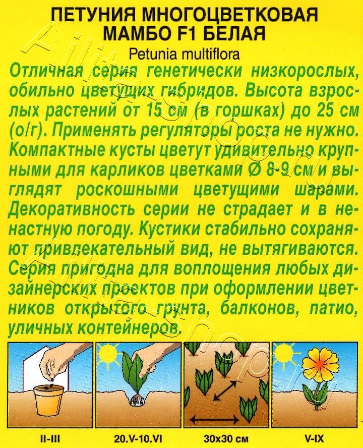 Петуния Мамбо F1 белая многоцветковая 7шт