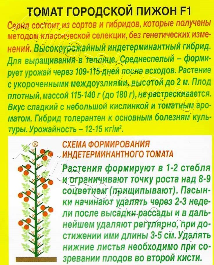 Томат Городской пижон F1 0,2г