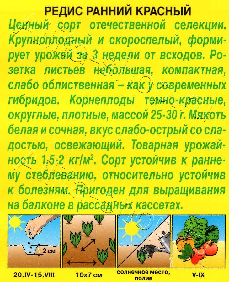 Редис Ранний красный 2г