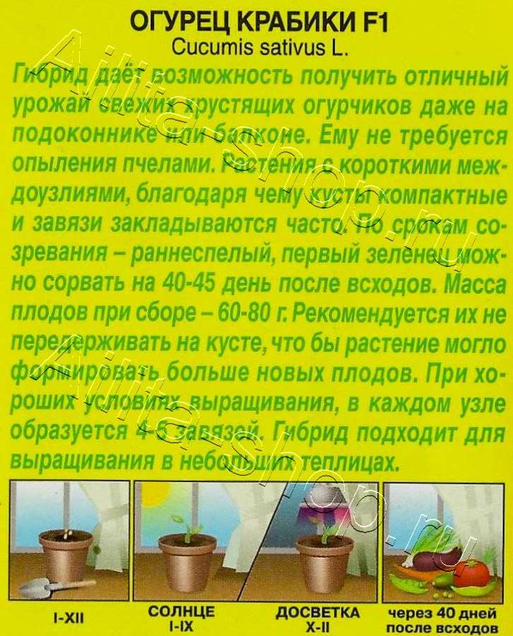 Огурец Крабики F1 10шт