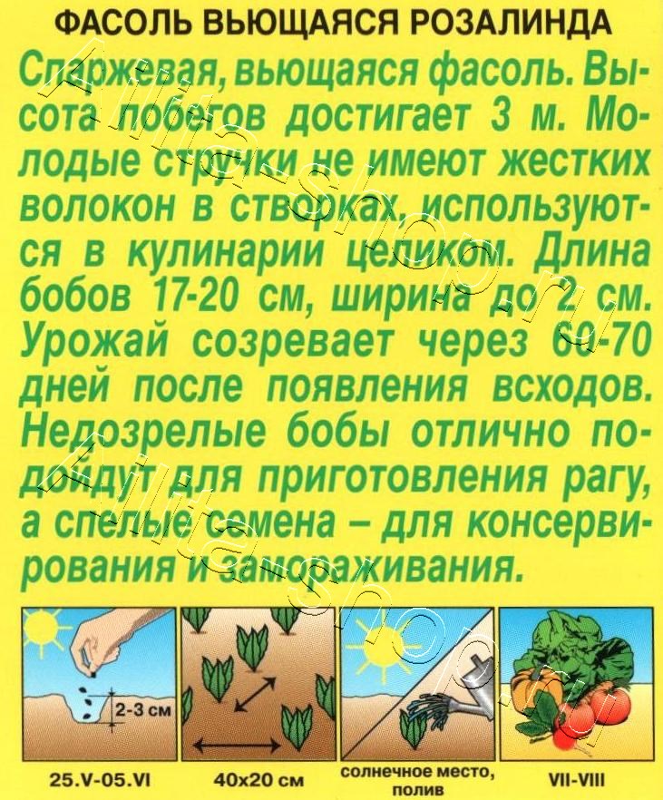 Фасоль вьющаяся Розалинда 5г