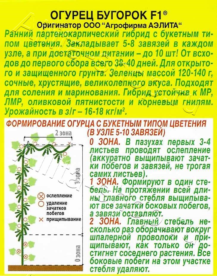 Огурец Бугорок F1 10шт