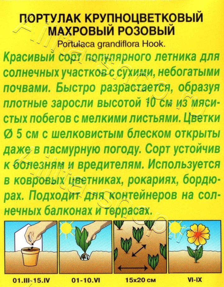 Портулак махровый розовый 0,05г