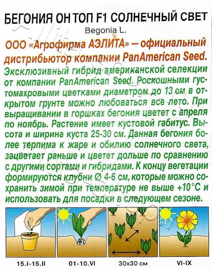 Бегония Он Топ F1 солнечный свет 5шт