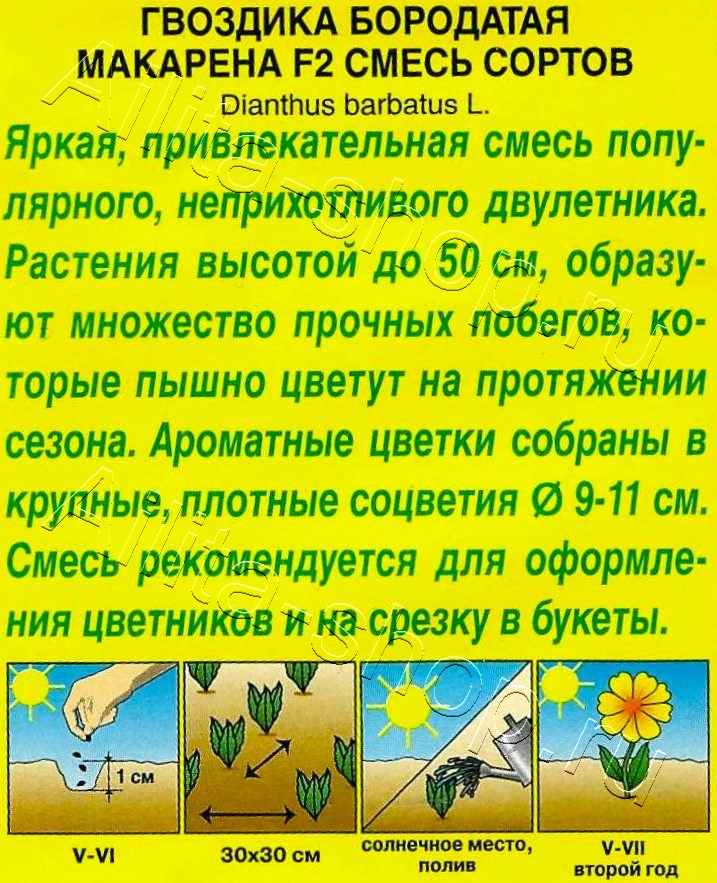 Гвоздика Макарена F2, смесь сортов 0,1г