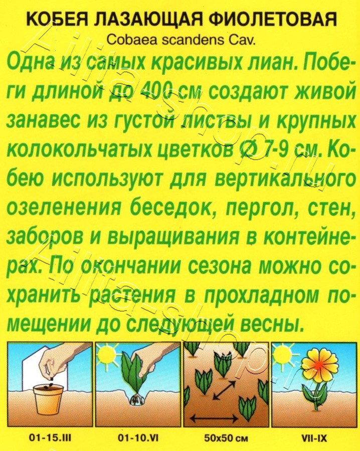 Кобея фиолетовая 0,45г