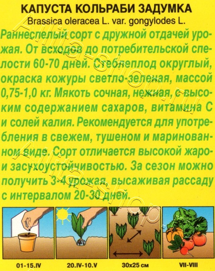 Капуста кольраби Задумка 0,5г