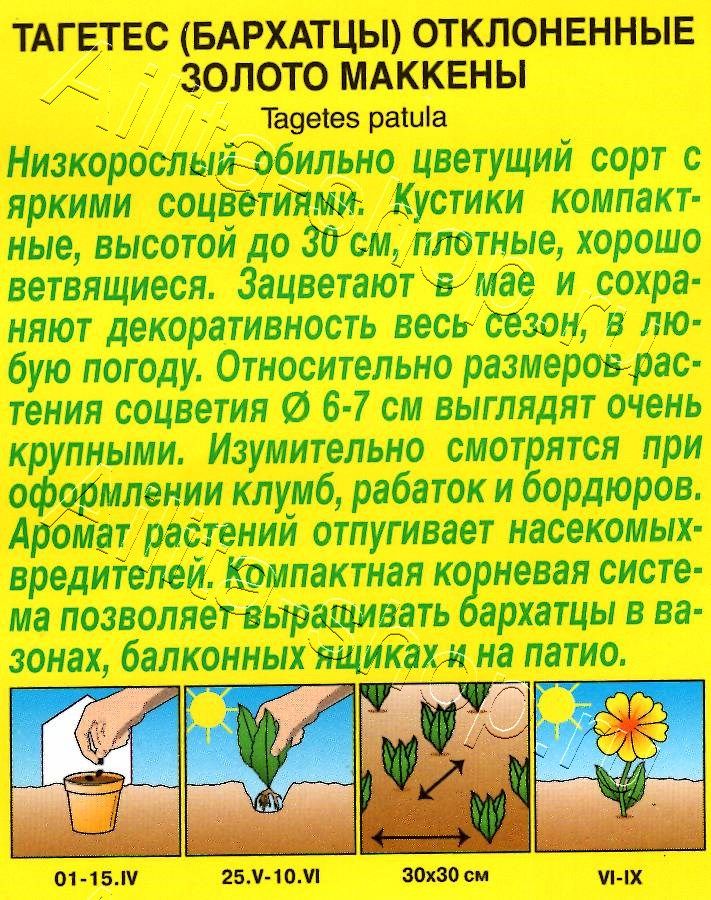 Бархатцы Золото Маккены отклоненные 0,3г