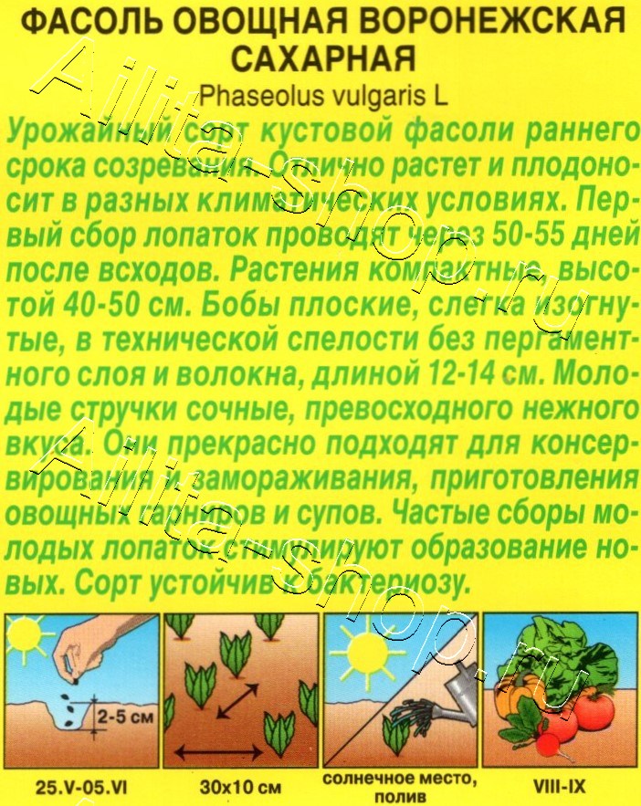 Фасоль овощная Воронежская сахарная 5г